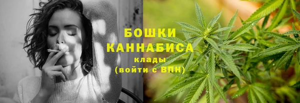 стаф Белокуриха