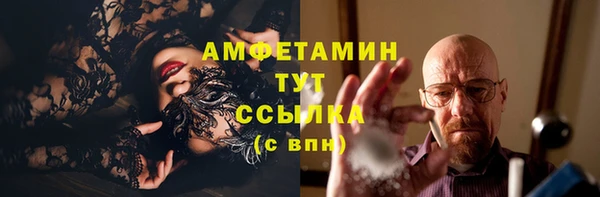 стаф Белокуриха
