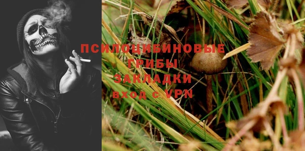 стаф Белокуриха