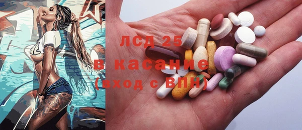 гидра Богородицк