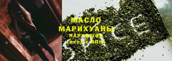 гидра Богородицк