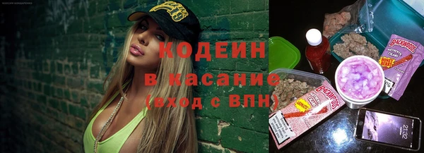 гидра Богородицк