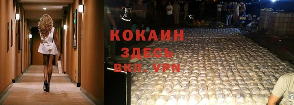 стаф Белокуриха